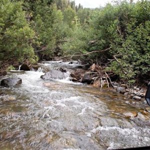 WolfCreek111 zps591a25dd
