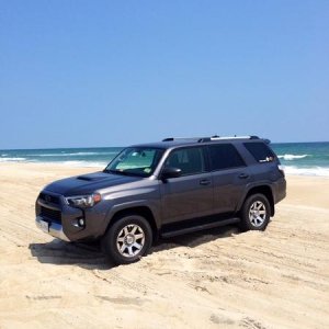 Assateague Island