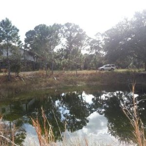 And who says there isn't beauty in Florida?