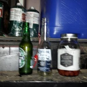 evening beverages