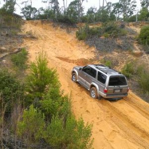 Sand pit ocala national forest