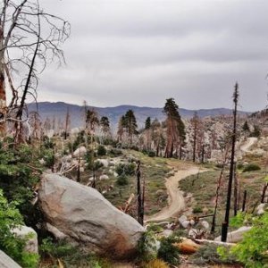 SBNF trail 2N54 -