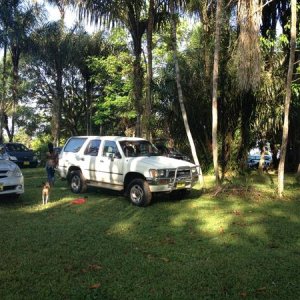IMG 0734