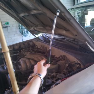 fitting hood struts
