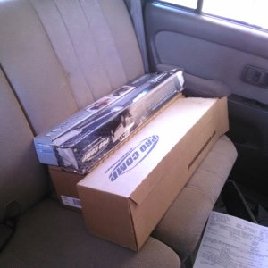 new struts
