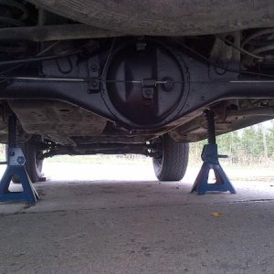 rear end touch up before Winter