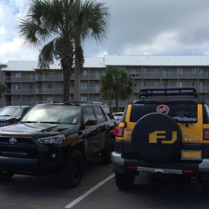 Spotted @ Orange Beach, AL