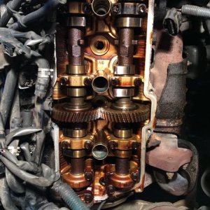 Valve cover gaskets....