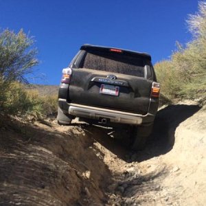 2 wheeling!