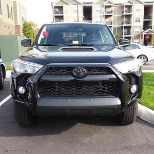 paintedfront