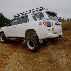 Flexing 1