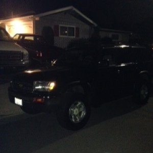 First night I brought her home