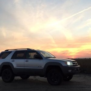 In the marsh