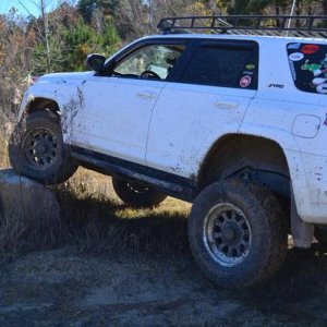 flexing