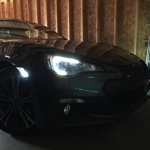 LED Lights!