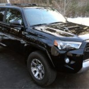 Black Beauty SM