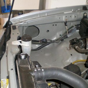 Stock airbox and elbow removed