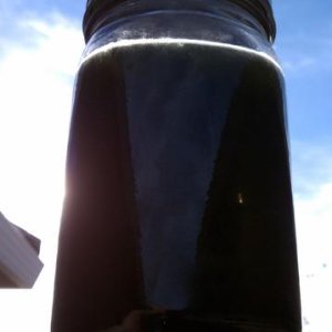 IMAG0272