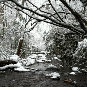 Lower crossing of Helton Creek Falls