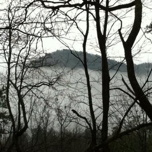 Up on Tray Mtn.