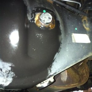 photo (6) (Medium)