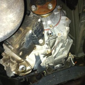 photo (7) (Medium)