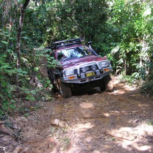 Rainforest Trail