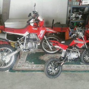 mms picture 2 (1)