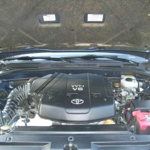 DSCF0780