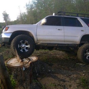 conquering the stump