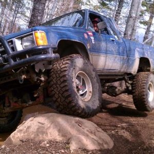 mudweiser