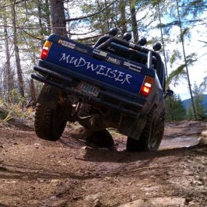 mudweiser