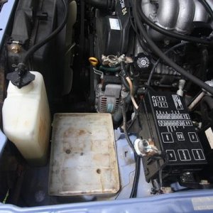 closeup of battery area and radiator overflow bottle