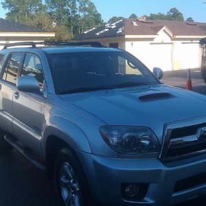 First day I brought her home..