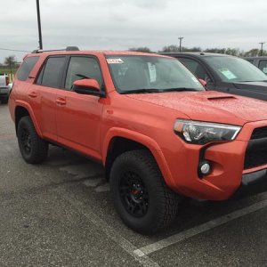 At the dealership