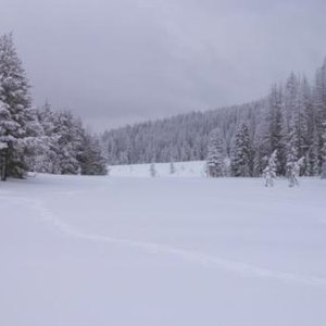 IMG 20141227 070100
