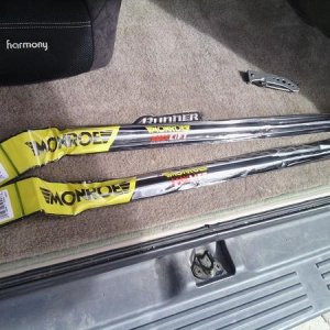LiftGATEshocks
