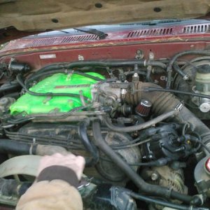 Neon green and glow in the dark intake plenum