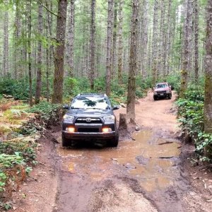 Bringin up the rear