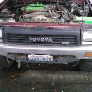 after the new bumper