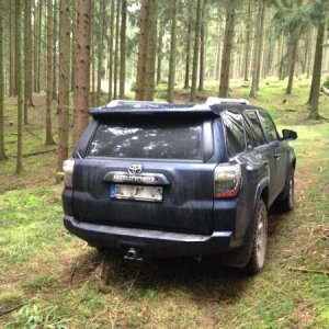 Ehlenz, Germany...riding through the forest.