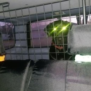The beast (Johnny Cash) in his cage.