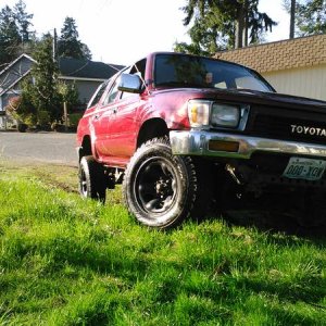 She got a bath and had to flex her muscles.
