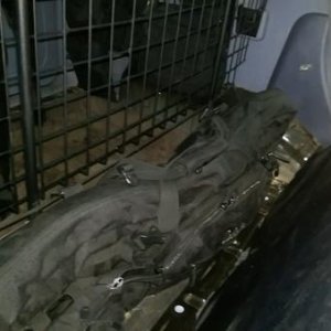 The barrier has been a side project I've been working on incorporating into my truck. I welded it into a single piece coated it, and welded d rings on