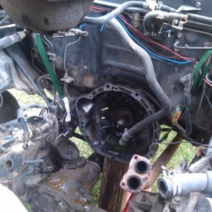 IMG 20121025 124015 (2)
