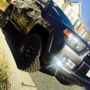 The Sparkly Beast