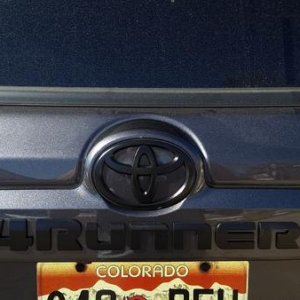 Plasti Dipped