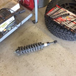 old springs out