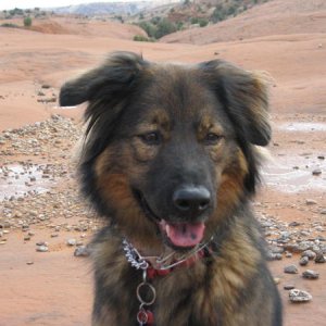 Athena Chow-Shepherd DOB July 2004