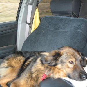 Co-Pilot